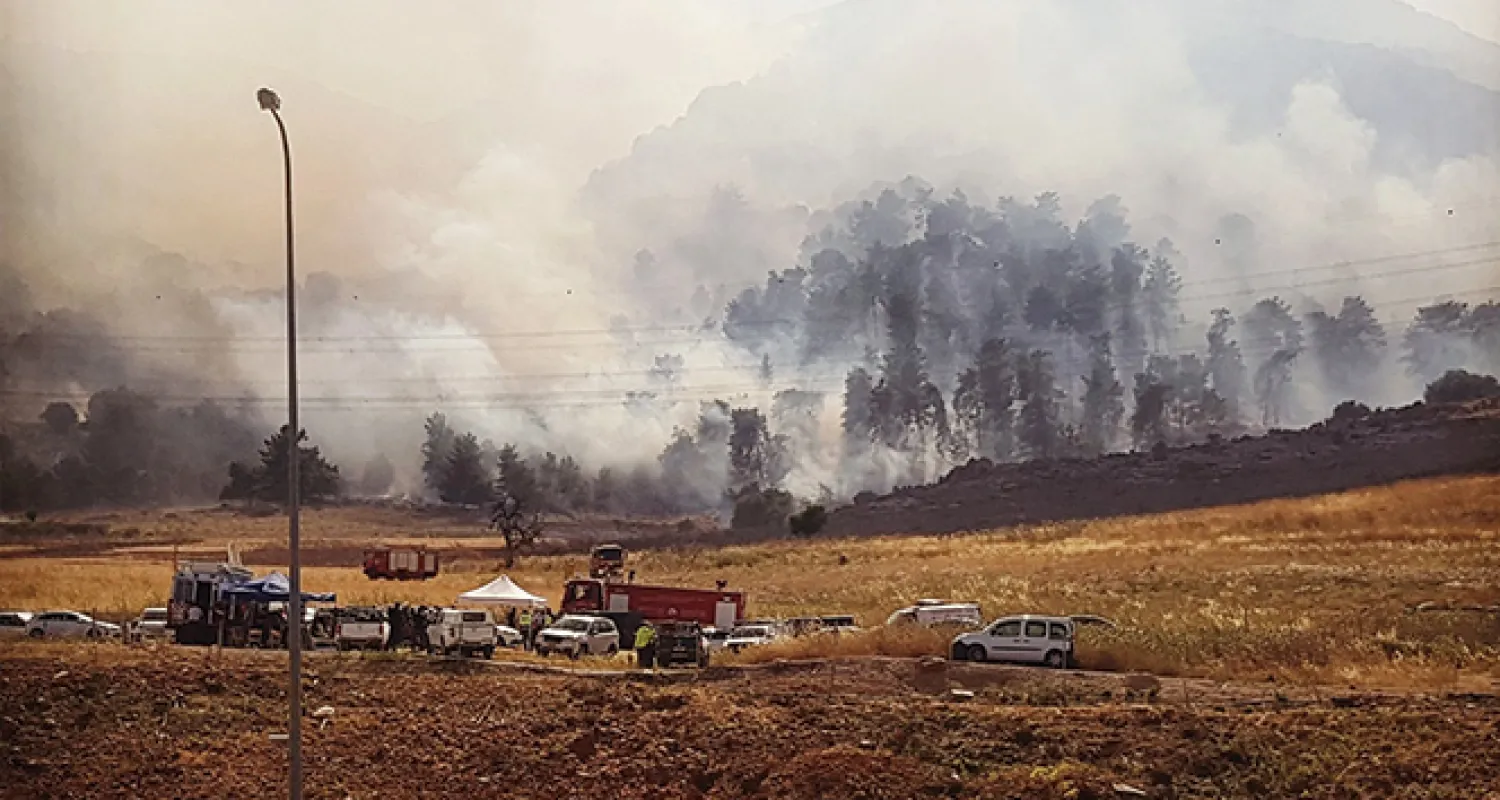 İsrail'de binlerce dönümlük orman kül oldu