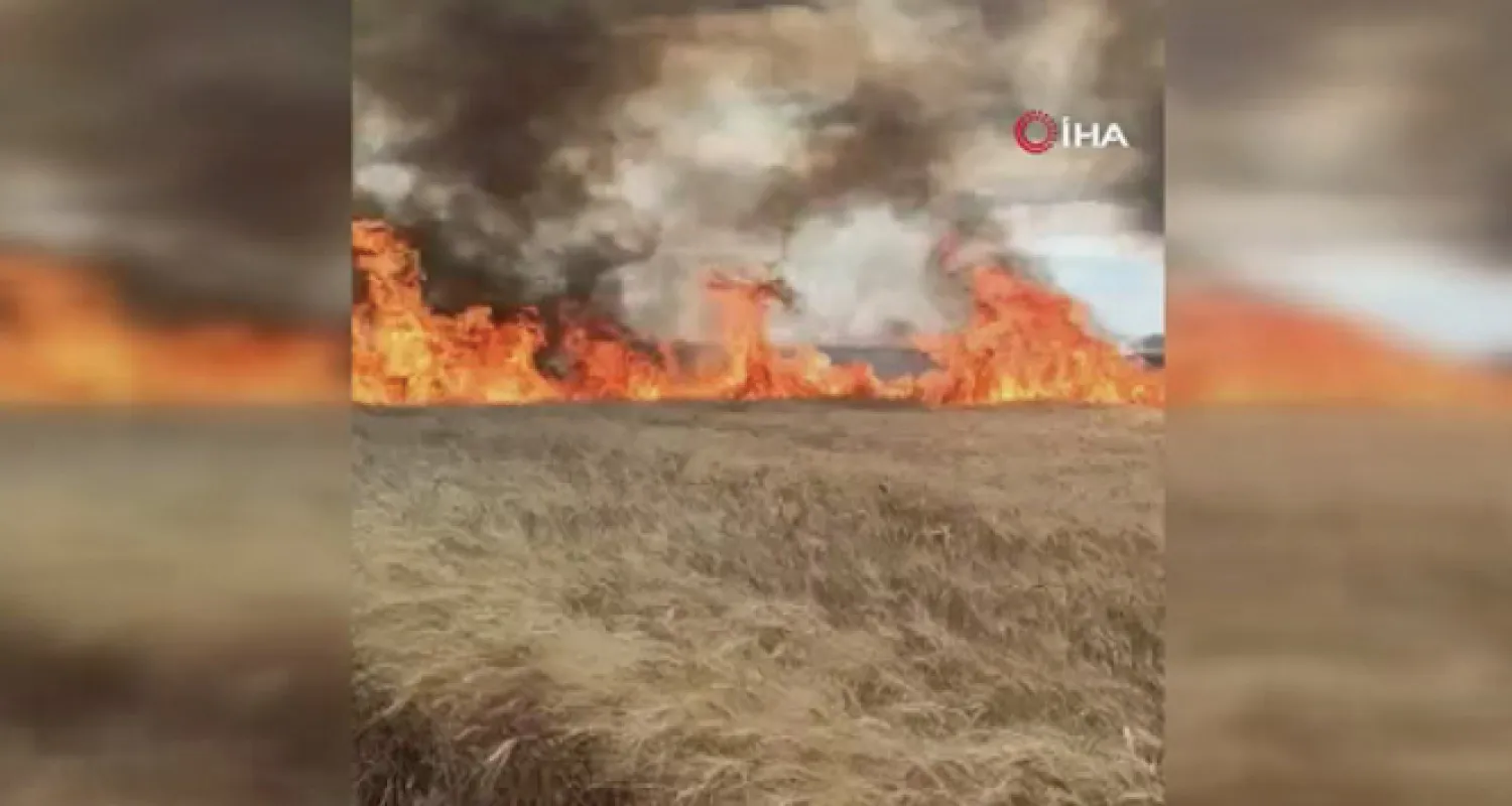 Suriye'de Esed rejimi tarım arazilerini hedef aldı