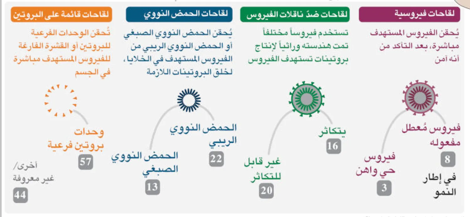 إنفوغراف... سباق عالمي لإيجاد لقاح ضد «كورونا»