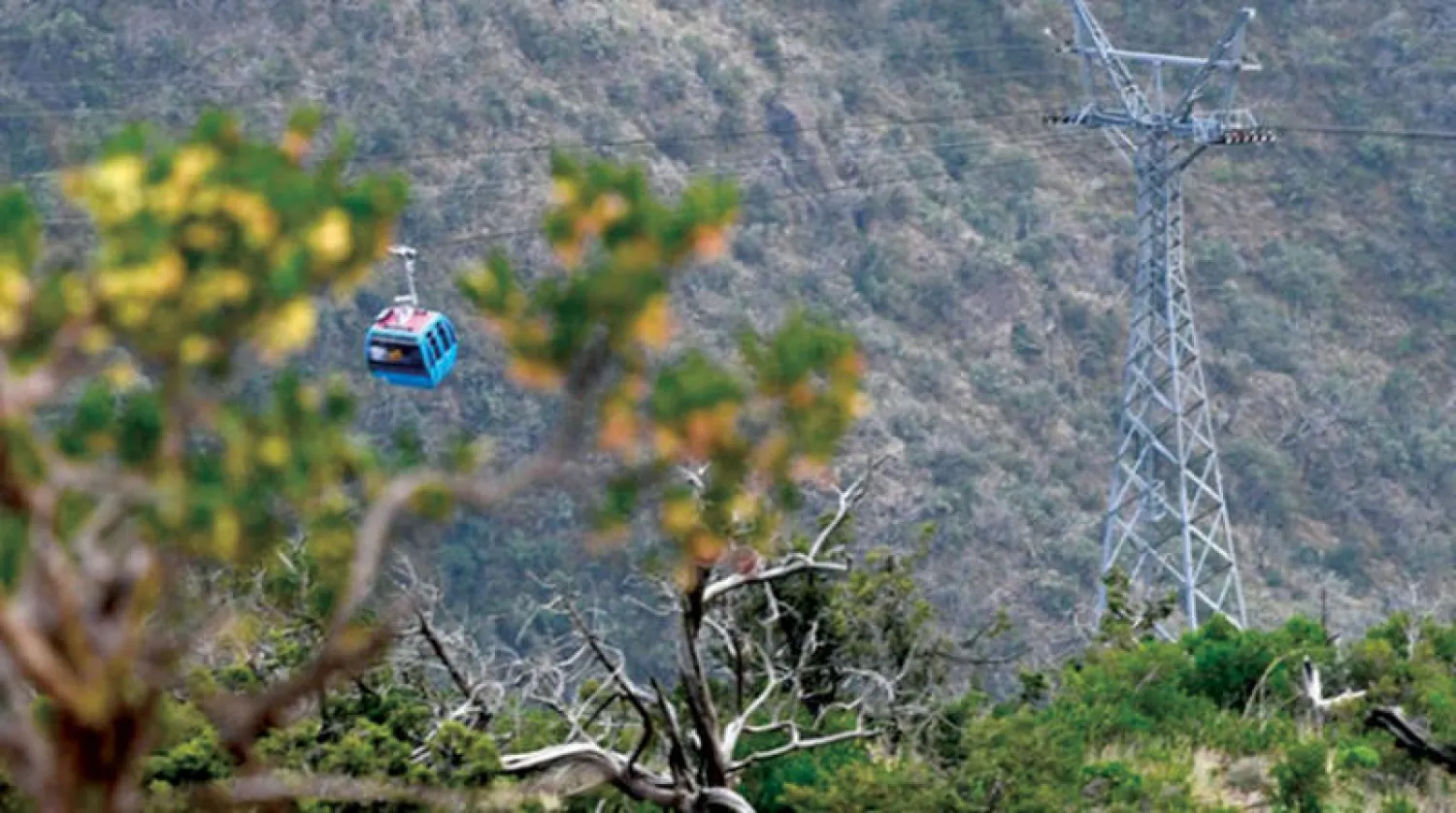 من المتوقع أن تشهد الحركة السياحية نشاطاً كبيراً خلال الأسابيع المقبلة (واس)