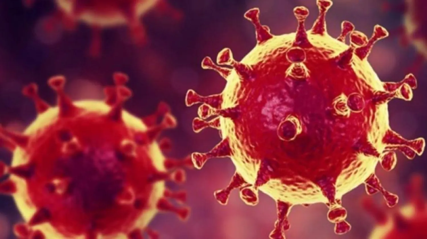 Azerbaycan'da son 24 saatte 491 Kovid-19 vakası tespit edildi