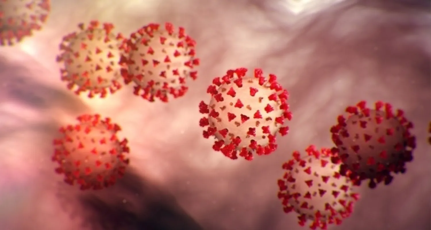 Azerbaycan'da son 24 saatte 534 koronavirüs vakası görüldü