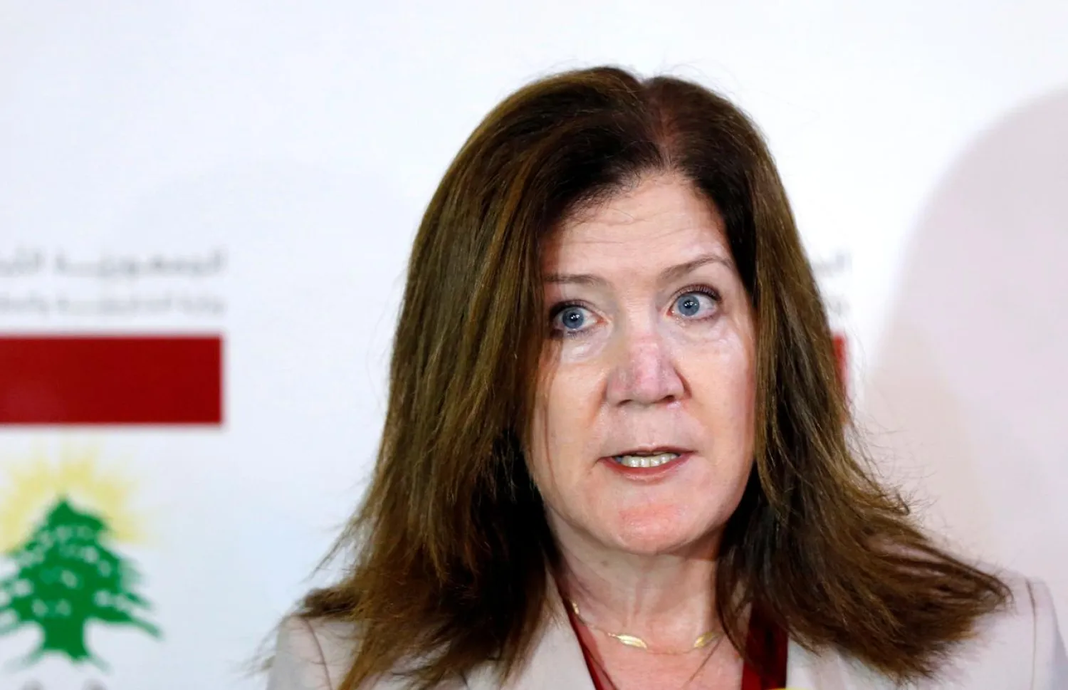 US Ambassador to Lebanon Dorothy Shea speaks during a news conference after meeting with Lebanese FM Nassif Hitti at the Ministry of Foreign Affairs in Beirut, Lebanon June 29, 2020. (Reuters)