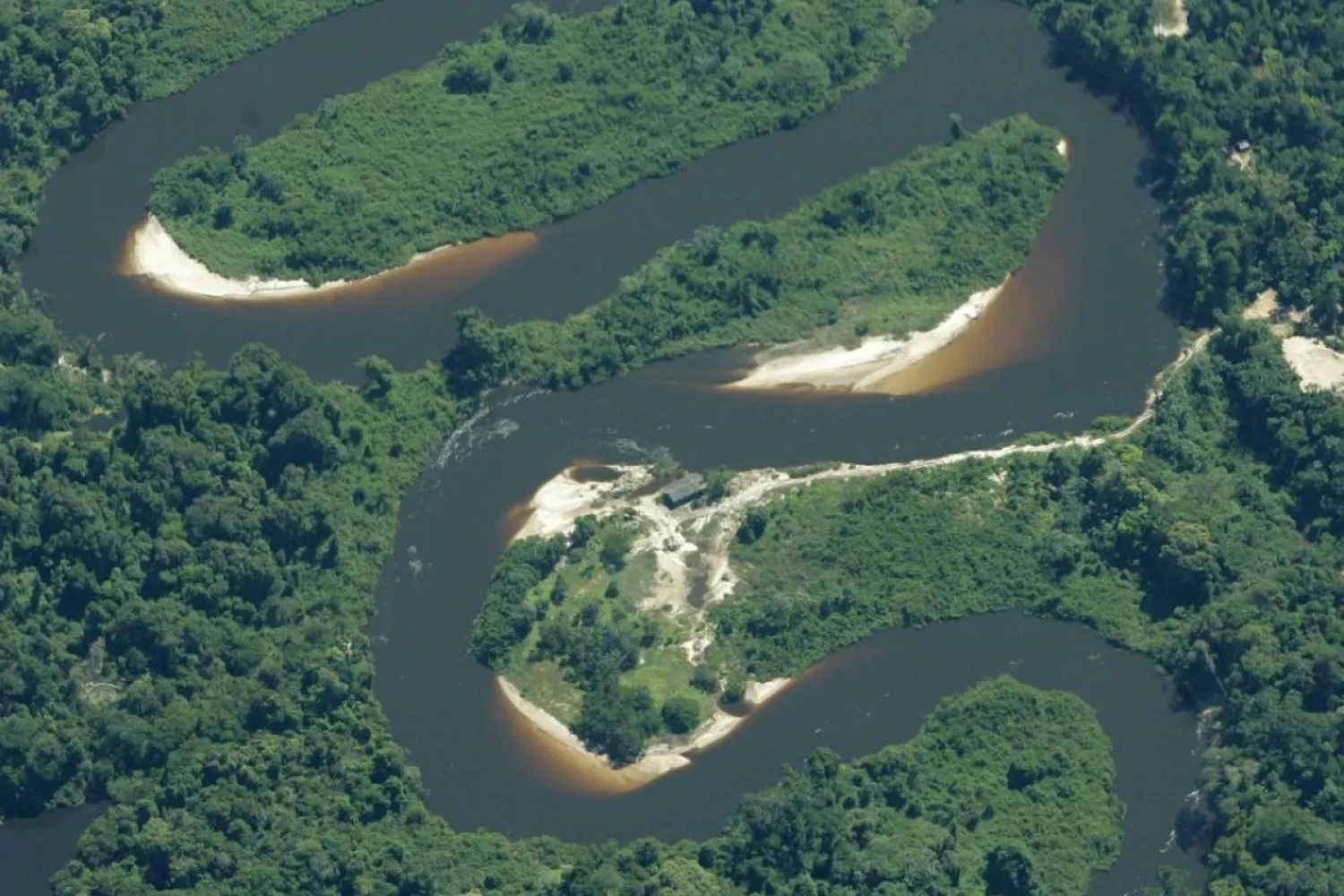 Virgin Amazon jungle in Mato Grosso, Brazil. Photo: Reuters