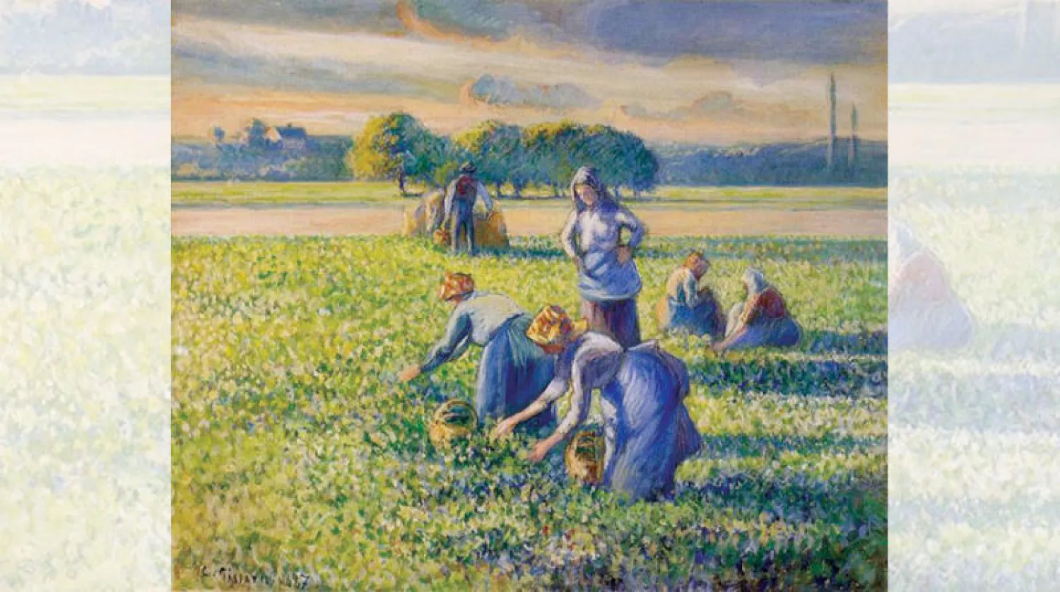 لوحة «قطاف البازلاء» لبيسارو