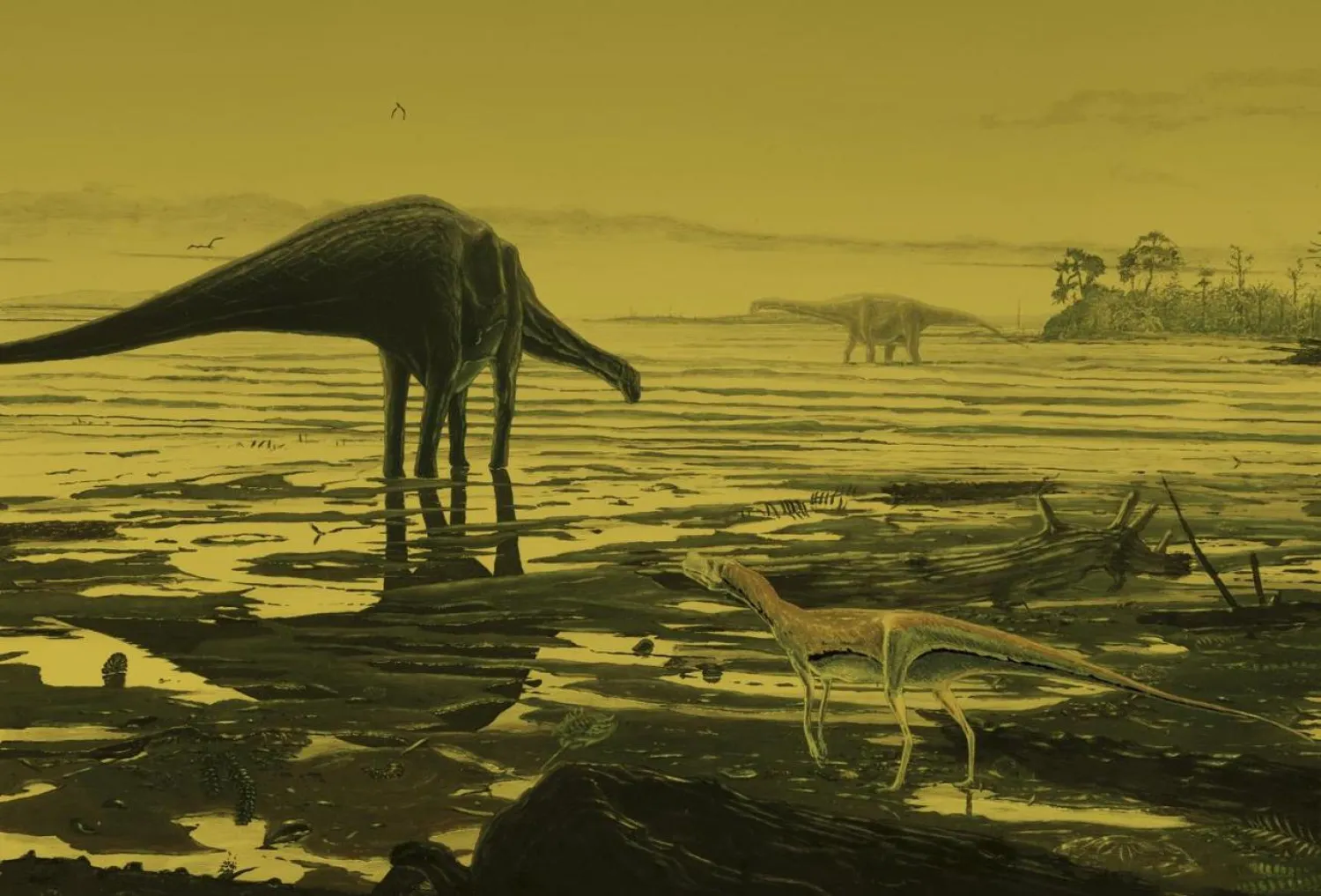 An artist's impression of Sauropod dinosaurs on the Isle of Skye in this undated handout photo provided by the University of Edinburgh in Edinburgh, Scotland, December 1, 2015. REUTERS/Jon Hoad/University of Edinburgh/Handout via Reuters