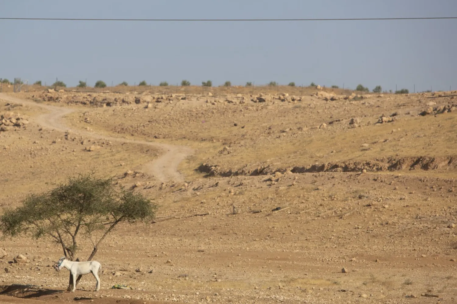 This Monday, June 29, 2020 photo shows an area near the Israeli settlement of Maale Adumim, in the West Bank. (AP/Sebastian Scheiner)