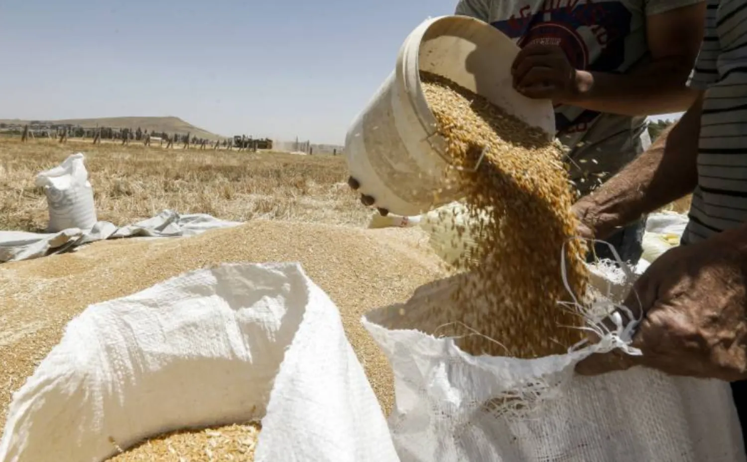 A farmer pours a bucket of wheat kernels into a sack during the harvest season, in a field in the countryside of al-Kaswa, south of Syria's capital Damascus, on June 18, 2020. (Photo by LOUAI BESHARA / AFP)