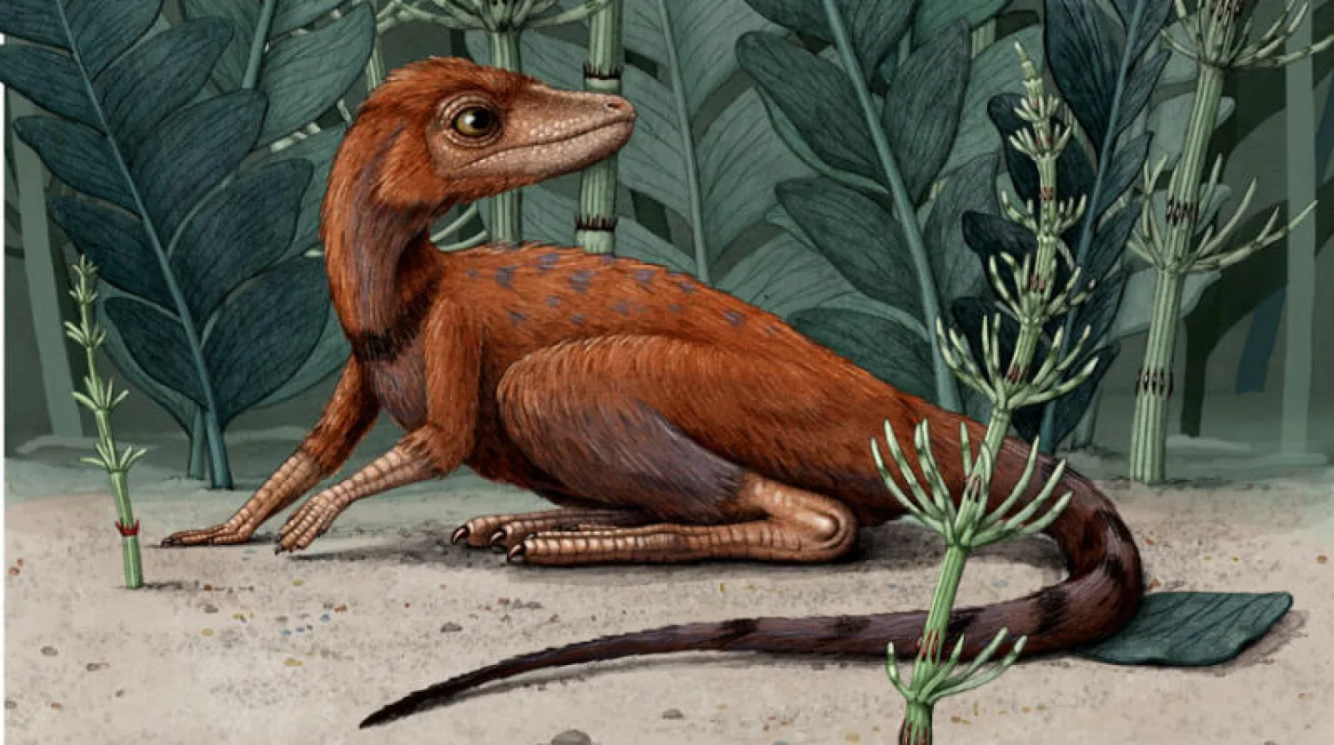 نموذج متخيل لـ«كونغونافون كيلي»