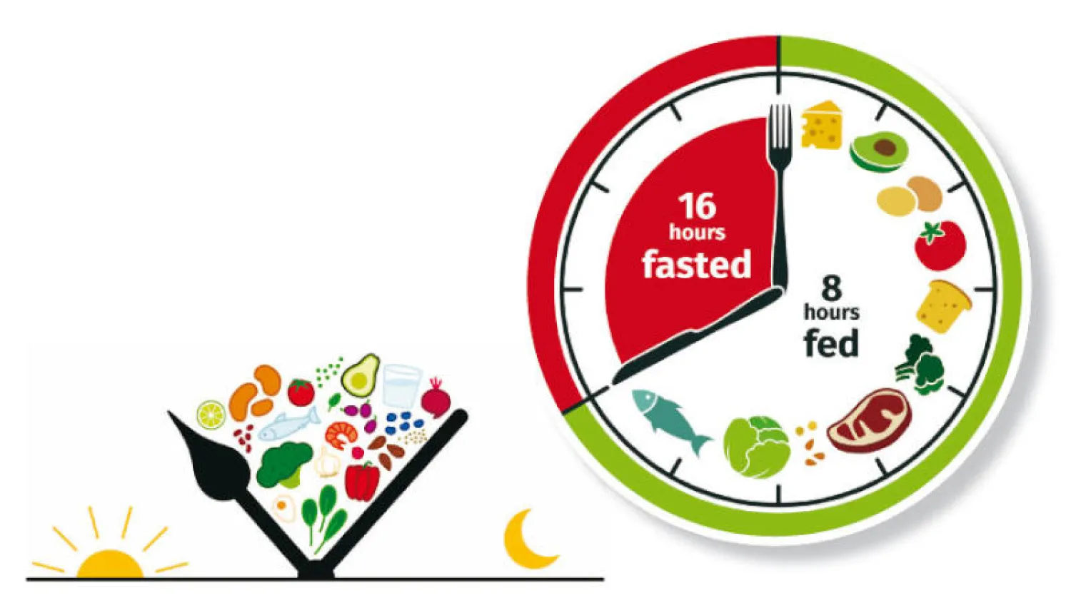 هل حان الوقت لتجريب «الصيام المتقطع»؟