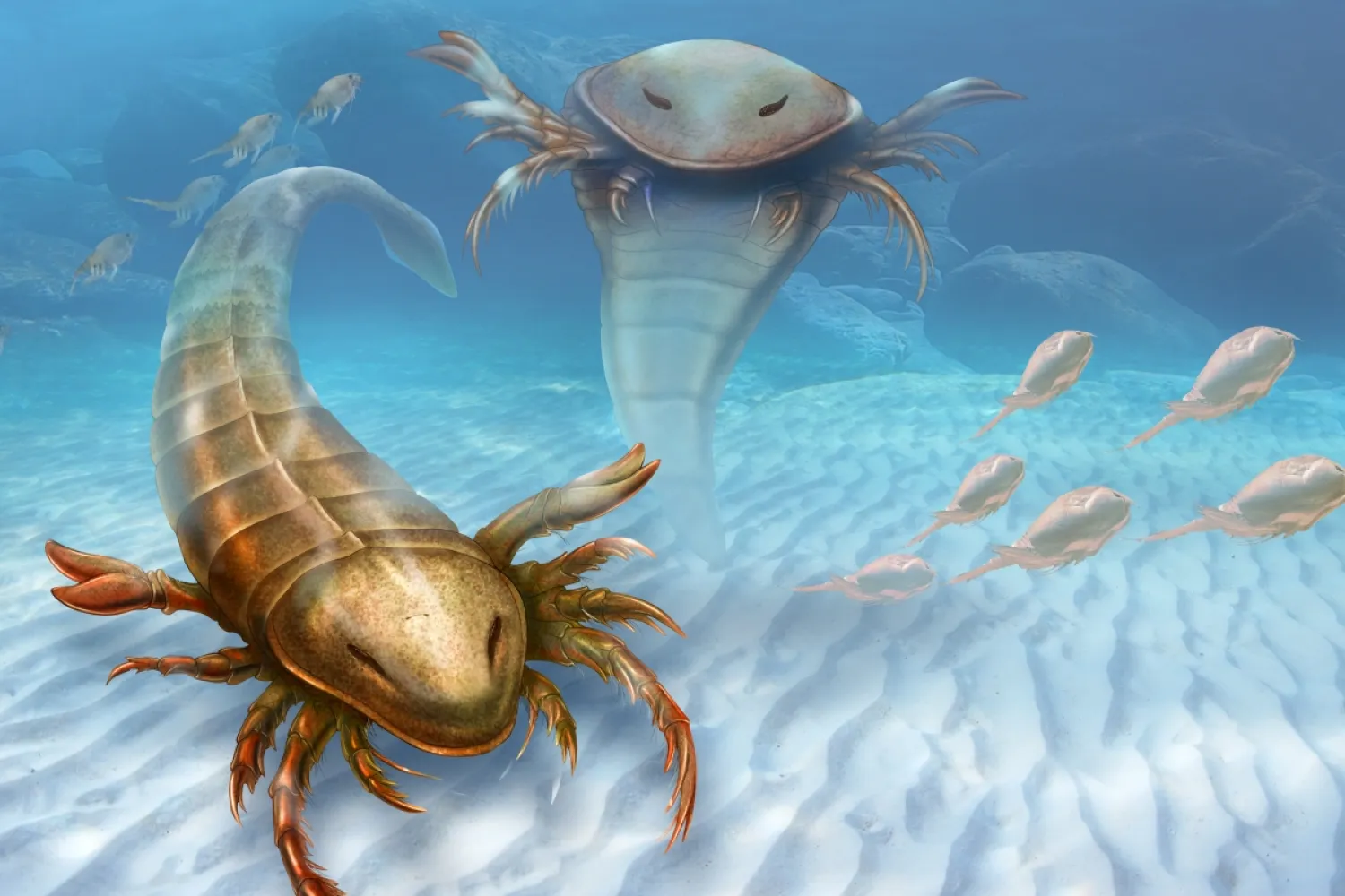 This rendering provided by Yale University shows a
Pentecopterus decorahensis. Photo: AP