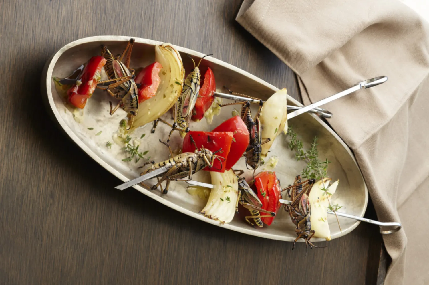 The Eat A Bug Yemek Tarifleri isimli kitaptan bir görsel (Chugrad McAndrews / The Eat A Bug Cookbook)
