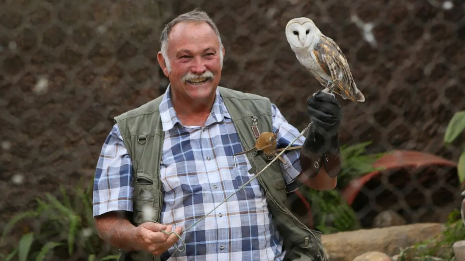 Gary Strafford, a Zimbabwean falconer, holds an owl inside one of the cages at his bird sanctuary, Kuimba Shiri, near Harare, Zimbabwe, Wednesday, June, 17, 2020. (AP Photo/Tsvangirayi Mukwazhi)
