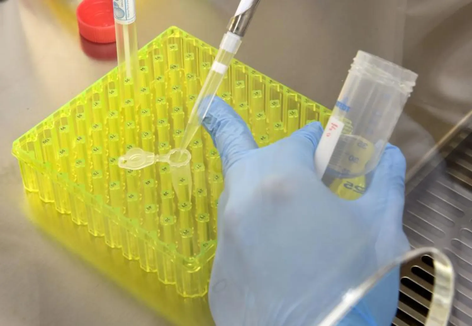 محاولات الوصول للقاح لكورونا مستمرة (أ.ف.ب)