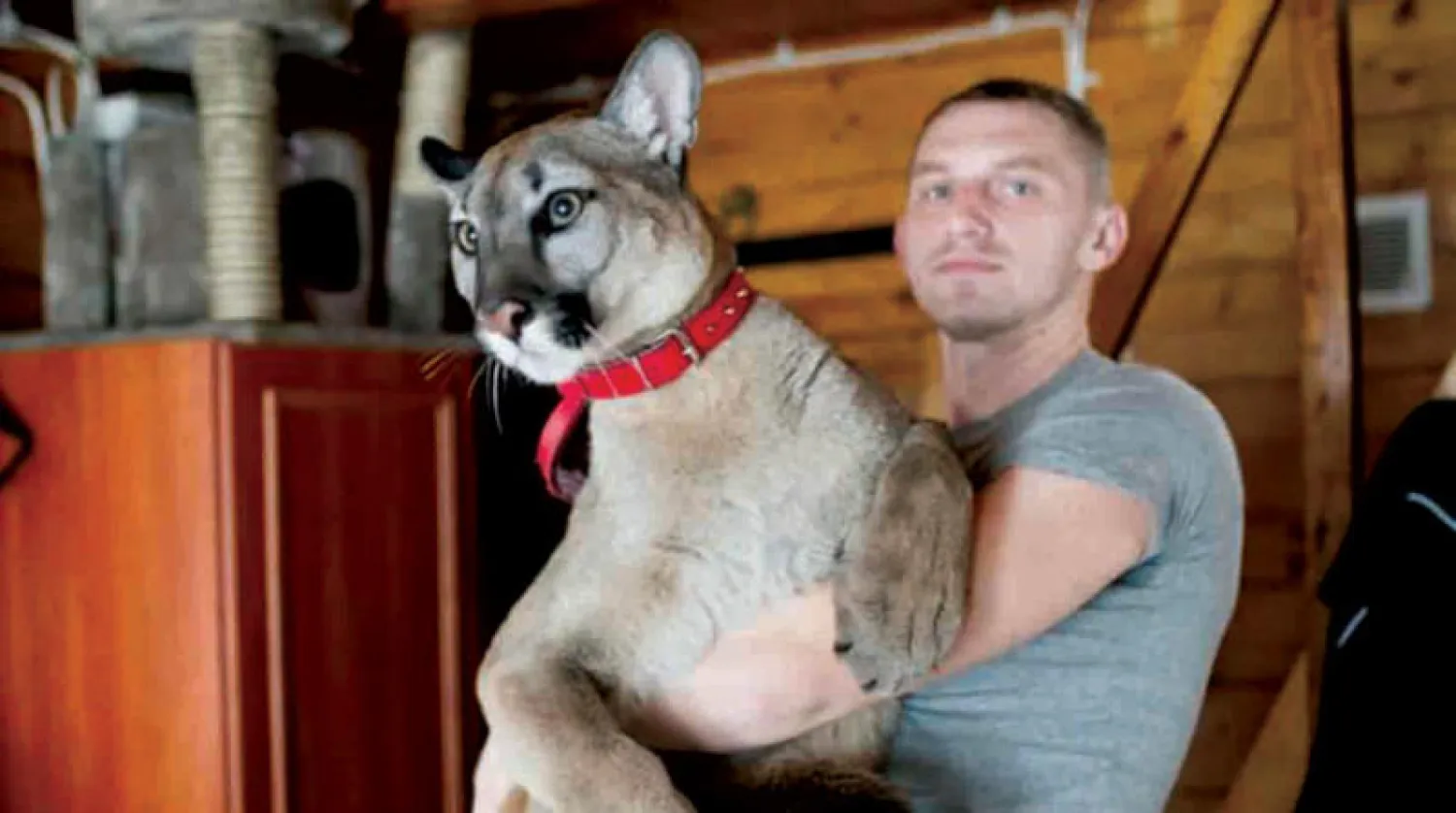 الجندي مع أسده