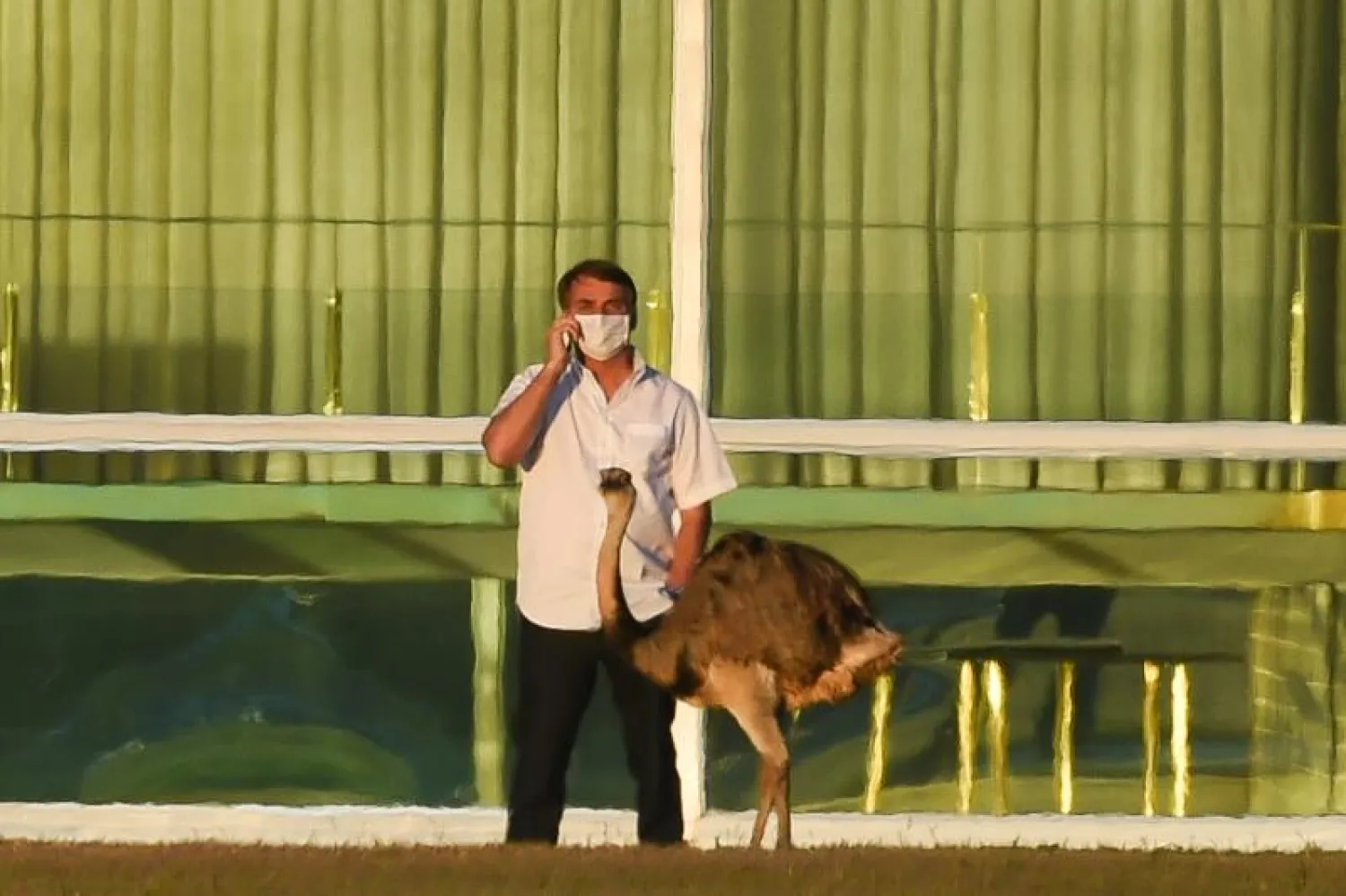 الرئيس البرازيلي جايير بولسونارو يتحدث على هاتف جوال بجوار طائر إيمو بمقر إقامته في برازيليا (أ.ف.ب)