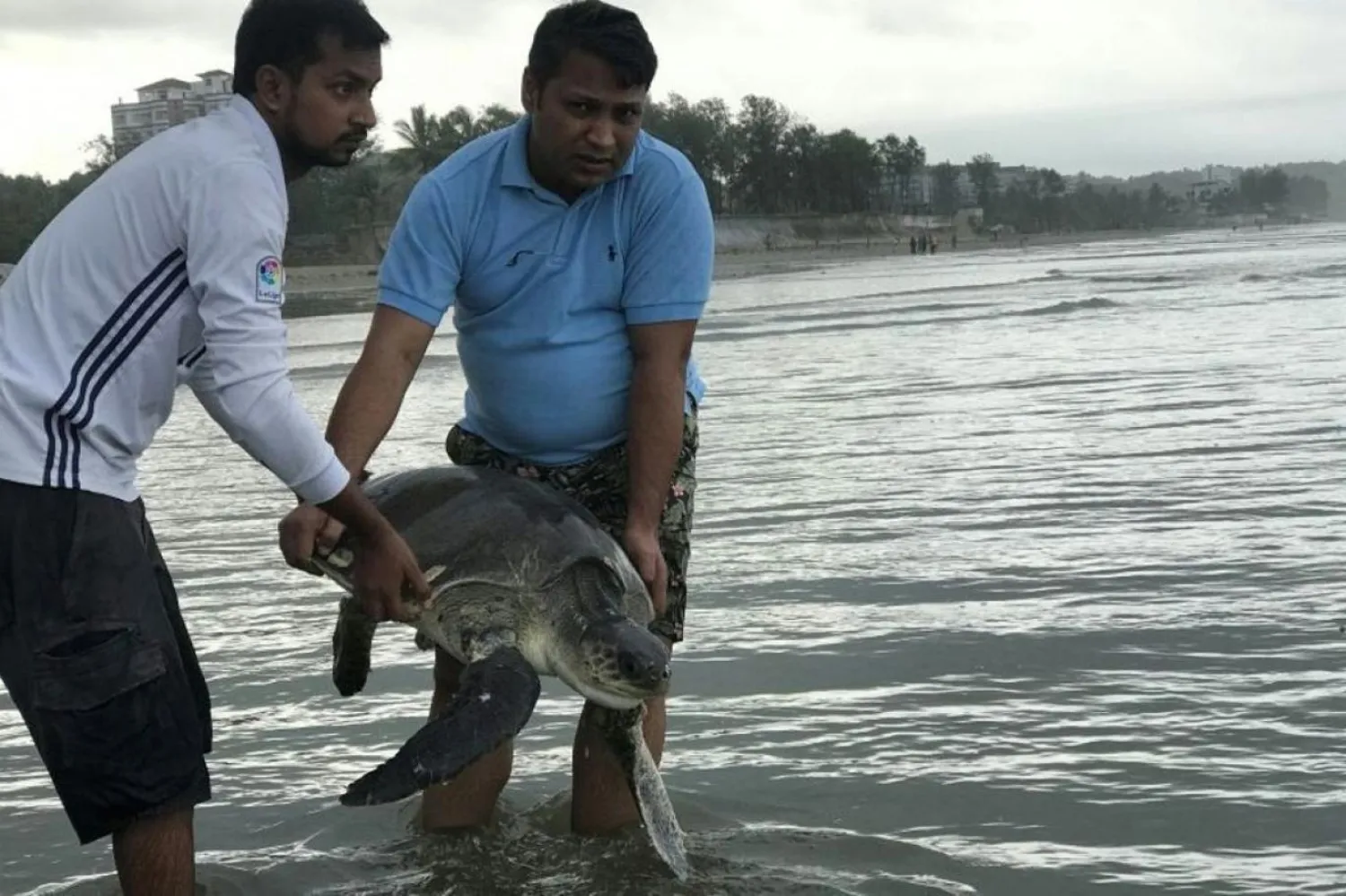 Daha önce de Maldivler'de nesli tükenmekte olan deniz kaplumbağalarının yumurtlama alanına uçuş pisti yapıldığı aktarılmıştı (AFP)
