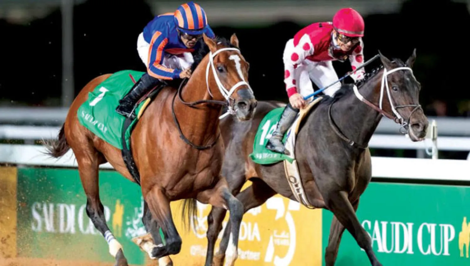 رياضة الفروسية تحظى باهتمام كبير من حكومة المملكة (الشرق الأوسط)