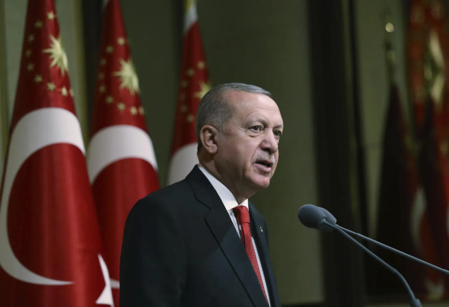 الرئيس التركي رجب طيب إردوغان (أ.ب)