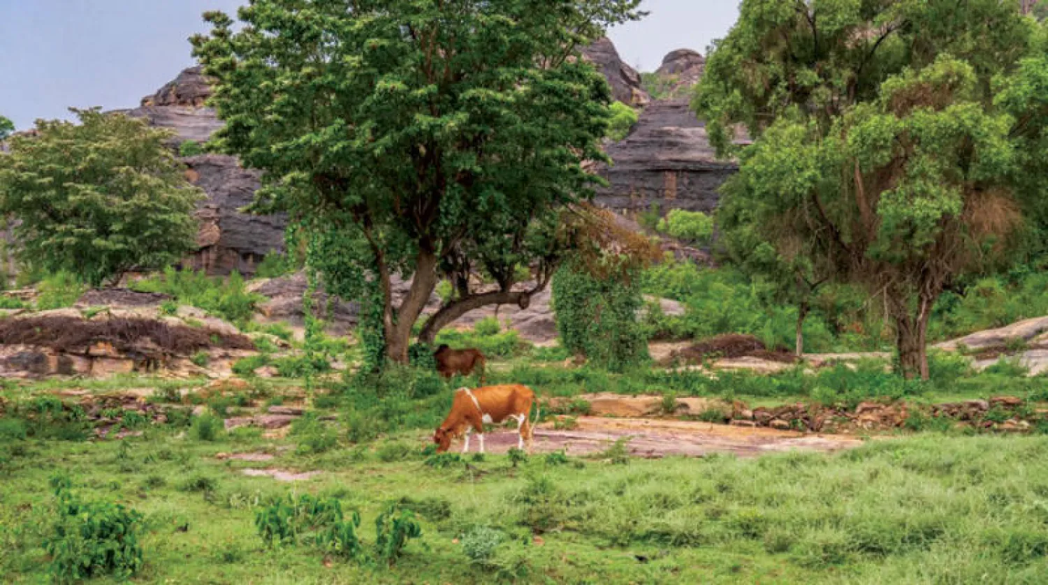يتيح هذا النوع من السياحة مشاركة السكان المحليين حياتهم المختلفة
