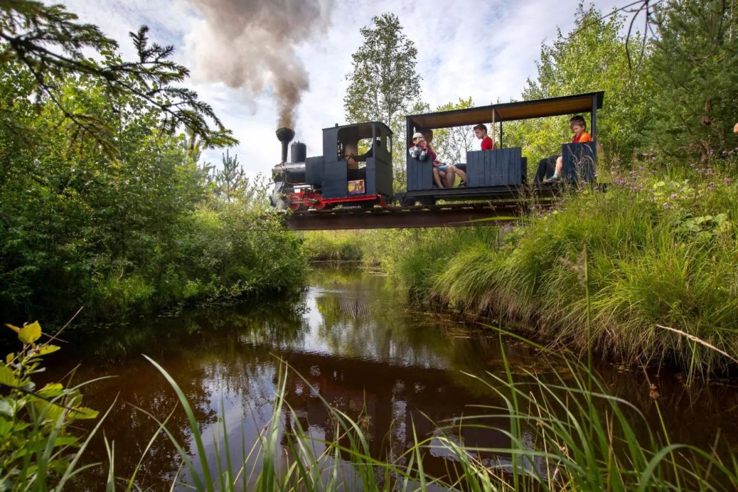 A miniature steam train runs across a bridge on Pavel Chilin's personal railway in Ulyanovka village outside St. Petersburg, Russia Sunday, July 19, 2020. (AP)