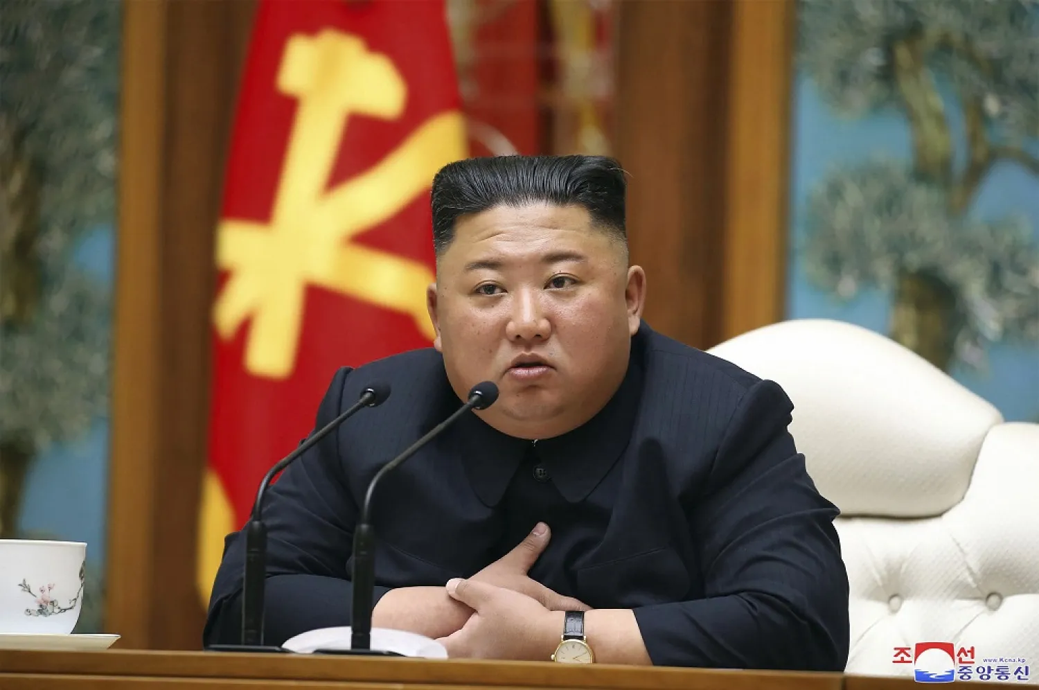 North Korean government, North Korean leader Kim Jong Un. (AFP)