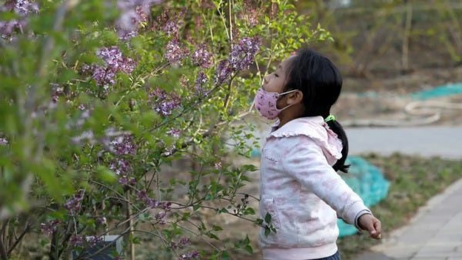 طفلة تقوم بشم رائحة الأزهار في حديقة بينما تضع كمامة خوفاً من«كورونا» (أرشيف - رويترز)