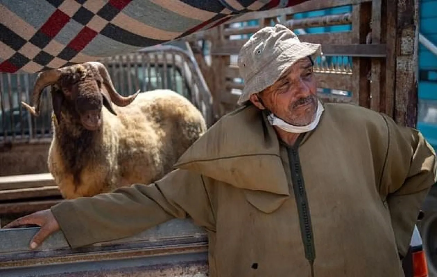 Moroccan farmers sell their livestock ahead of the Muslim festival of sacrifice Eid al-Adha at markets around the kingdom. AFP