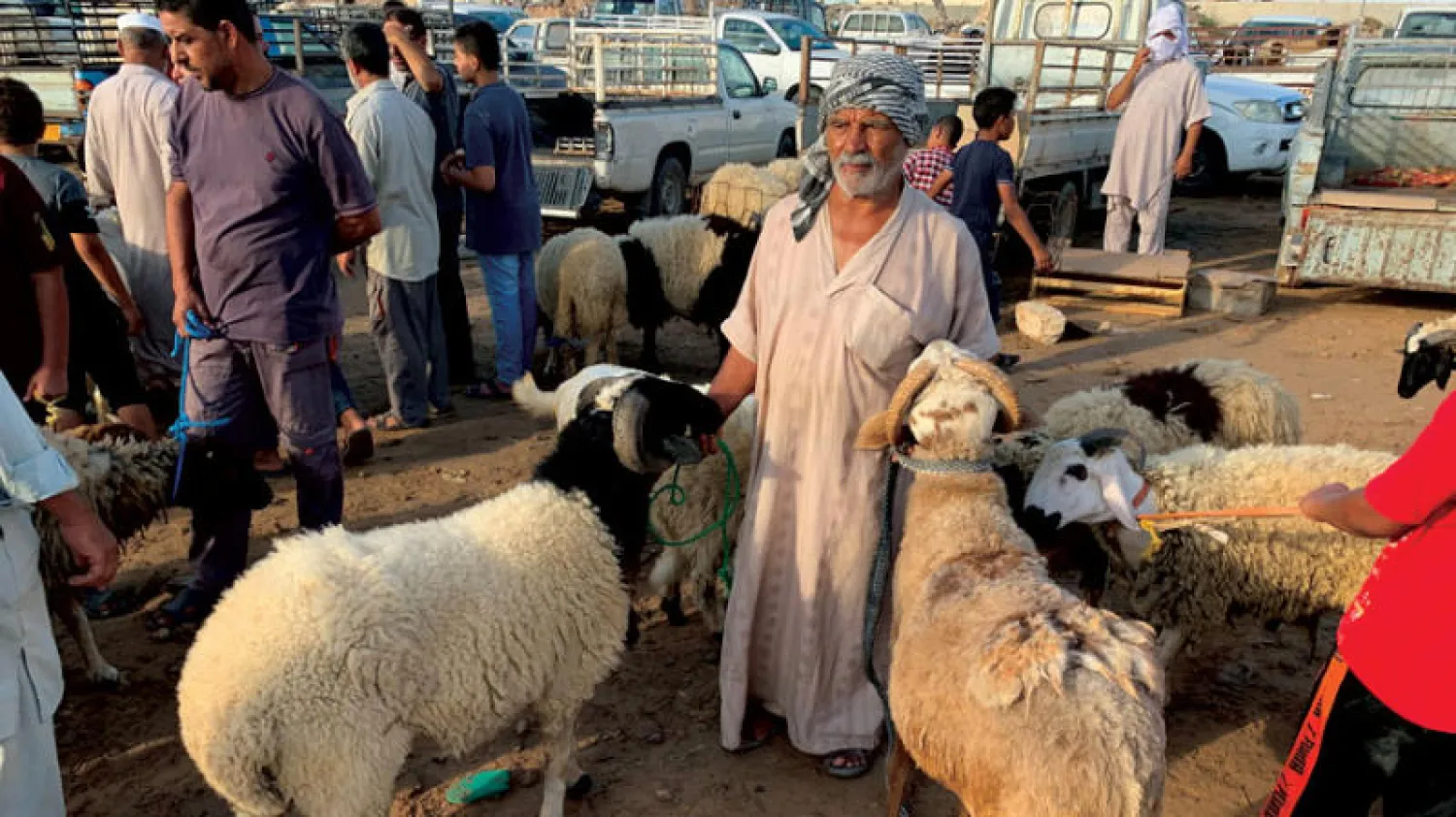 ليبيون يقتنون أضحية العيد وسط مخاوف من انقطاع التيار الكهربائي