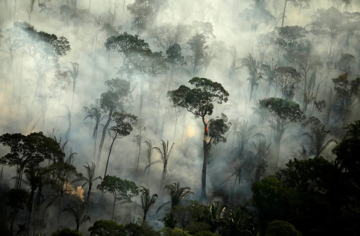 Smoke billows from a fire in an area of the Amazon rainforest near Porto Velho, Rondonia State, Brazil, September 10, 2019. (Reuters)