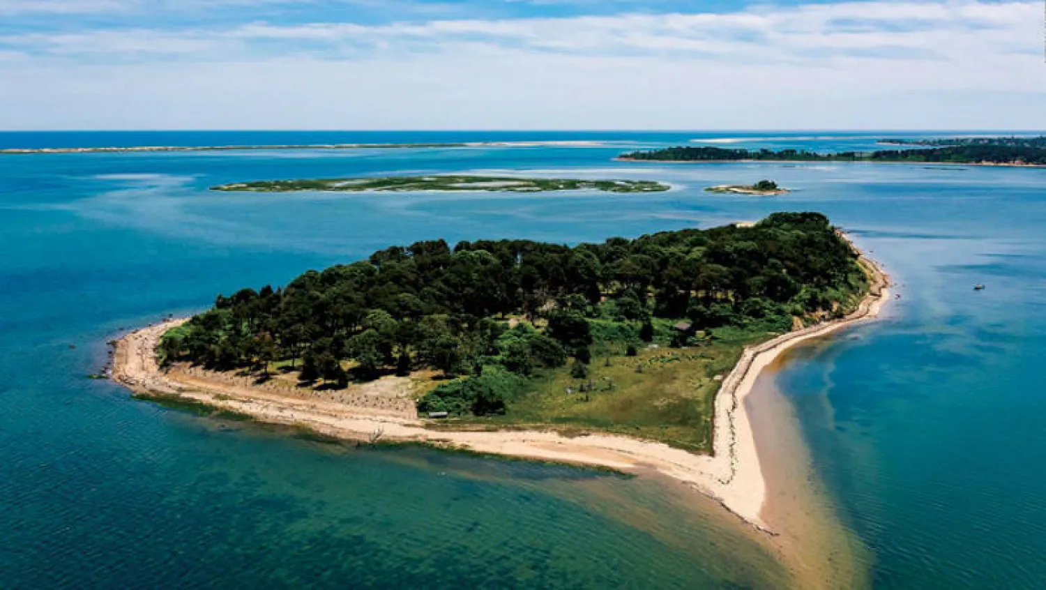 جزيرة سيبسون