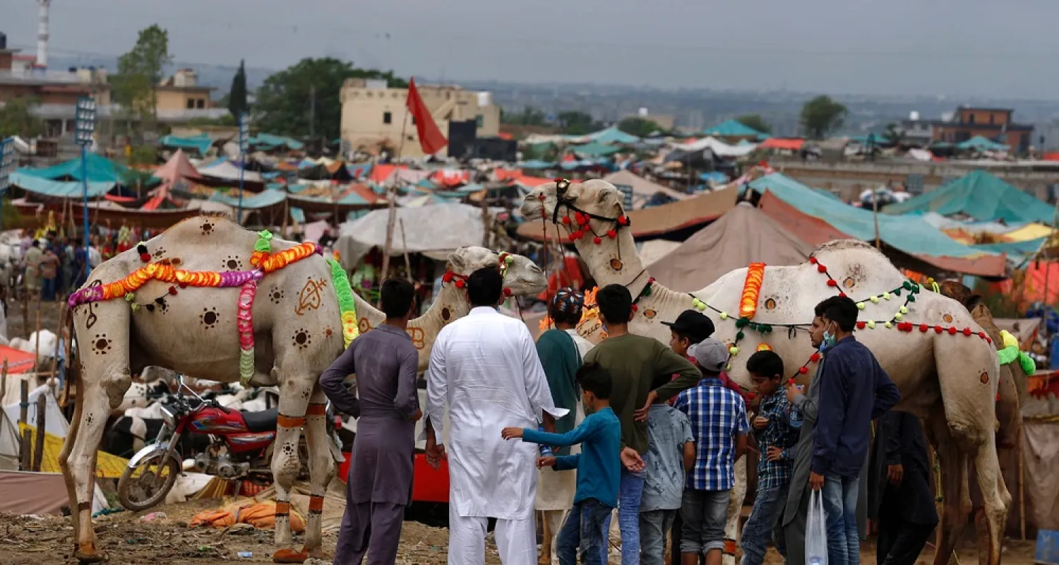 Men look at decorated camels at a cattle market set up for the Eid al-Adha, in Islamabad, Pakistan, July 26, 2020. (AP)