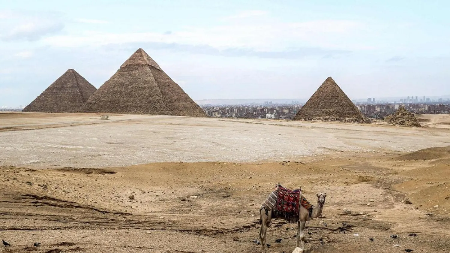 A camel waits at an overlook by the Giza pyramids necropolis on the southwestern outskirts of the Egyptian capital on March 13, 2020. (AFP)