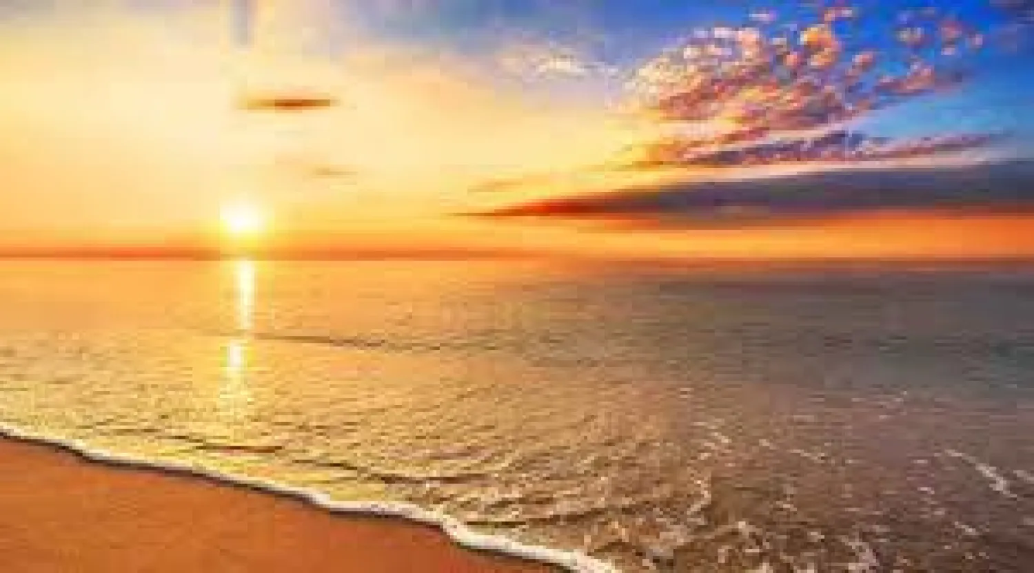 فيلم وثائقي ينقذ حياة صبي من الغرق