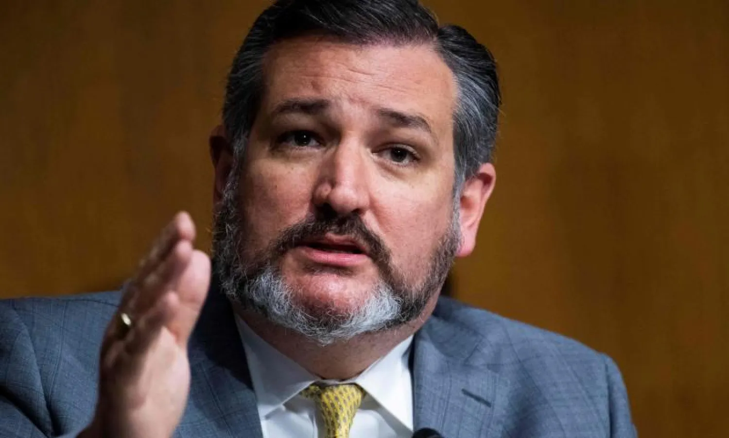 السيناتور الأميركي تيد كروز (أ.ف.ب)