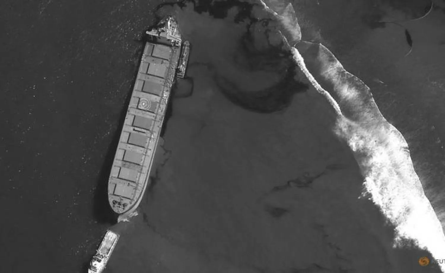 Anxious Mauritians Use Hair to Stem Japanese Ship's Oil Spill