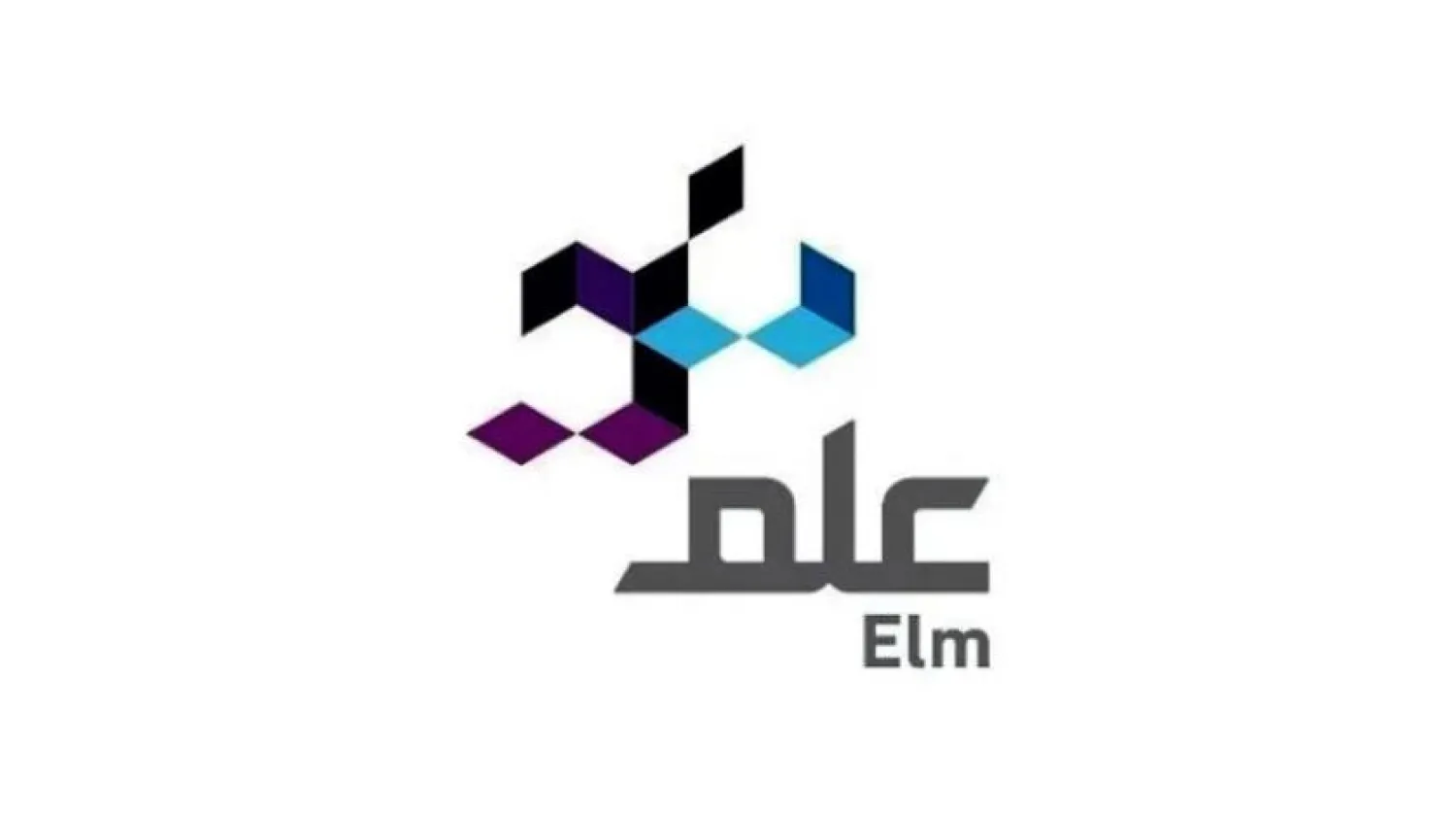 Saudi: Acquisition Deal to Form Strategic Technical System in Logistics 