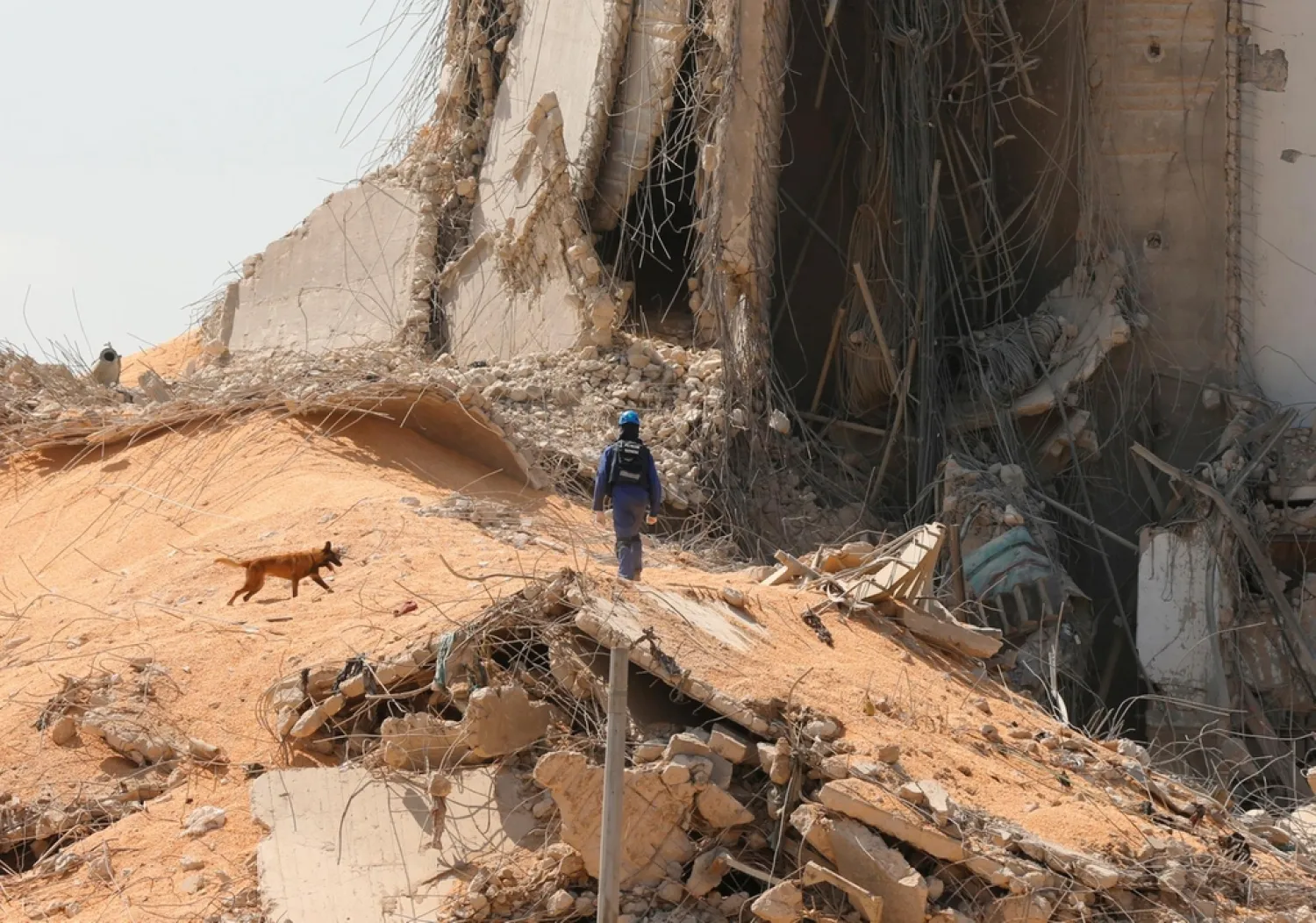 French rescue team member and a search and rescue dog walk near the damaged grain silo at the site of Tuesday's blast. (Reuters)