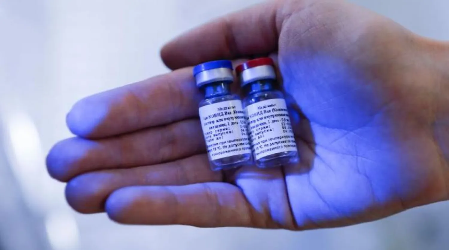 Rusya Doğrudan Yatırım Fonu tarafından koronavirüse karşı geliştirilen aşının görüntüsü (AFP)