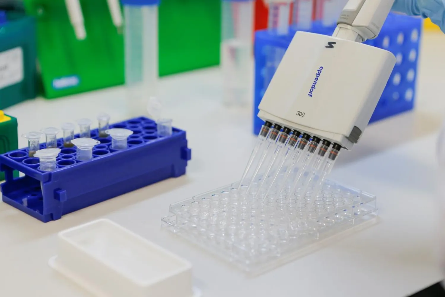 A handout photo provided by the Russian Direct Investment Fund (RDIF) shows samples of a vaccine against the coronavirus disease (COVID-19) developed by the Gamaleya Research Institute of Epidemiology and Microbiology, in Moscow, Russia August 6, 2020. The Russian Direct Investment Fund (RDIF)/Handout via REUTERS