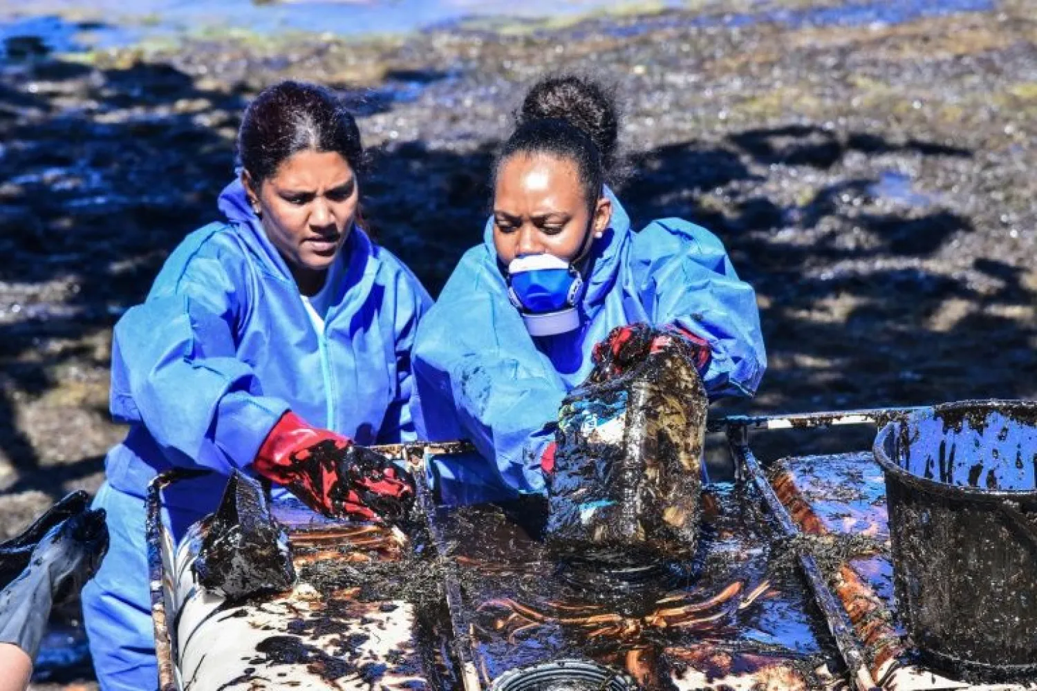 Volunteers fight to clean up leaked oil from the MV Wakashio bulk carrier that had run aground at the beach in Mauritius | AFP