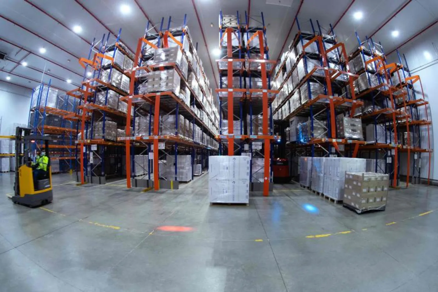 موظف يحمل صناديق اللقاحات والمنتجات ويضعها في أرفف التخزين البارد قبل شحنها في فرنسا (أ.ف.ب)