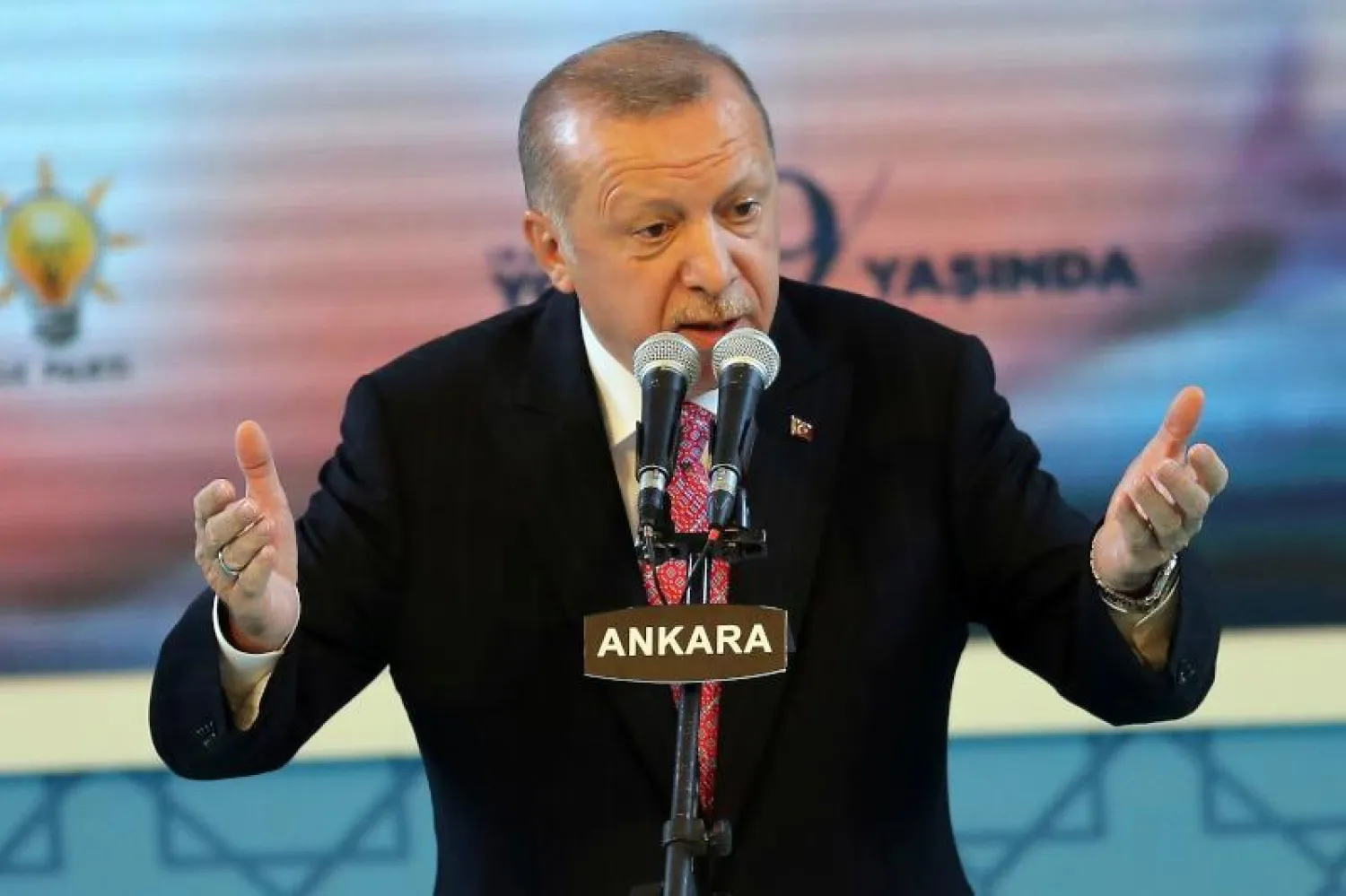 الرئيس التركي رجب طيب إردوغان (أ.ف.ب)