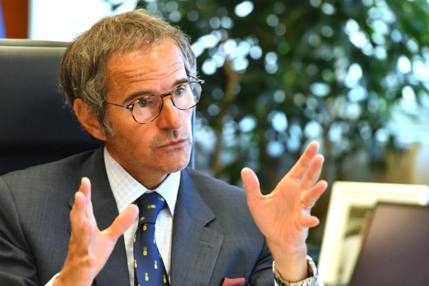 المدير العام للوكالة الدولية للطاقة الذرية رفائيل غروسي (الموقع الرسمي للوكالة)