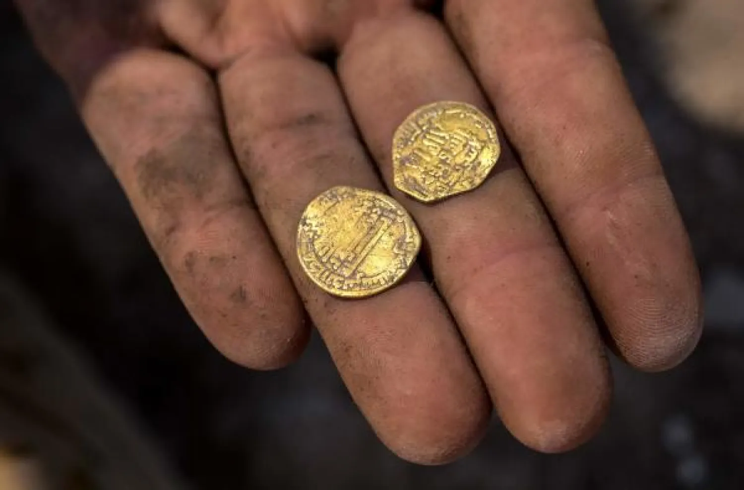 An Israeli archaeologist displays gold coins dating to the Abbasid Caliphate during a press presentation of the discovery at an archaeological site near Tel Aviv in central Israel, on August 18, 2020. (Photo by Heidi Levine / POOL / AFP)