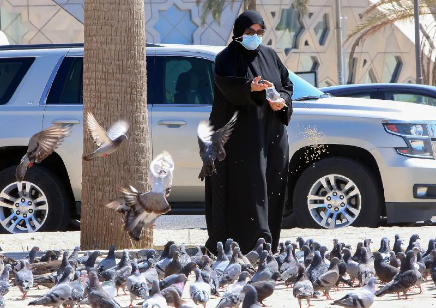 سيدة كويتية ترتدي قناعاً واقياً وتطعم الحمام في ساحة بمدينة الكويت (أ.ف.ب)