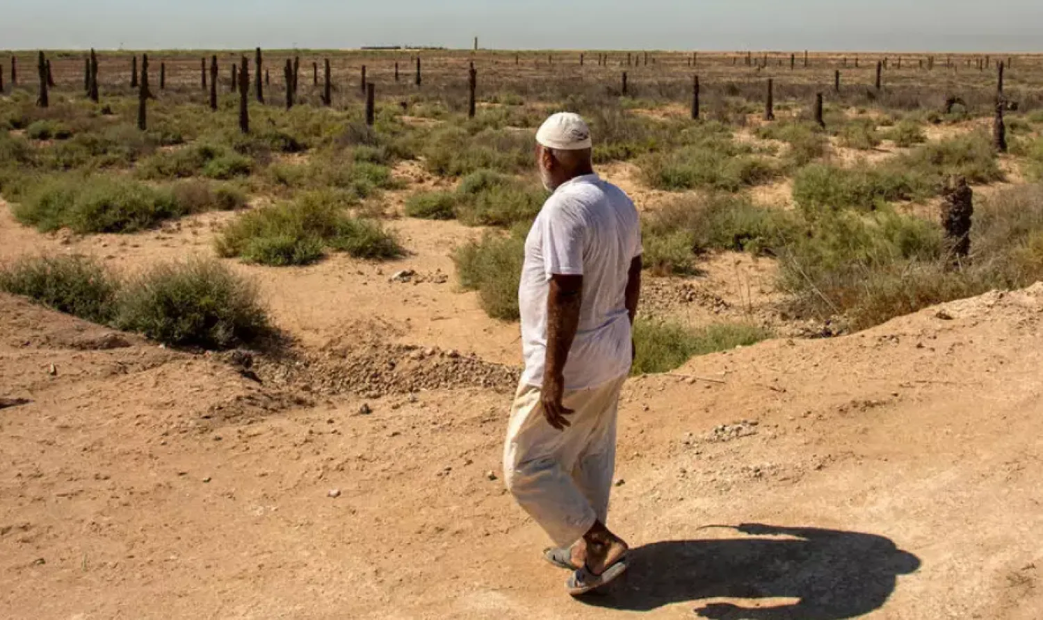 An Iraqi farmer looks at his land in Iraq's southern port city of al-Faw, 90 kilometers south of Basra near the Shatt al-Arab and the Gulf on August 17, 2020. (Photo by Hussein FALEH / AFP)