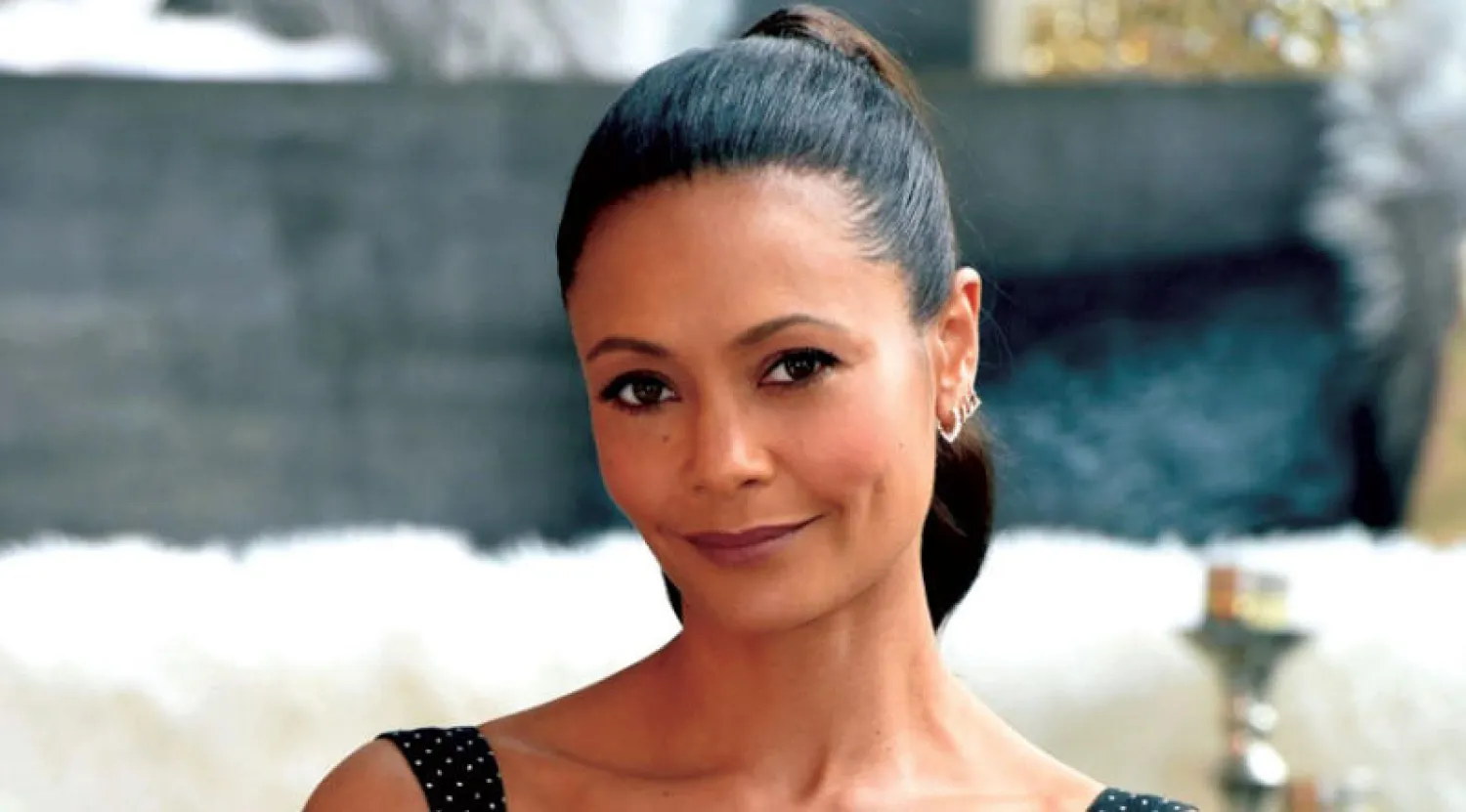 ثاندي نيوتن