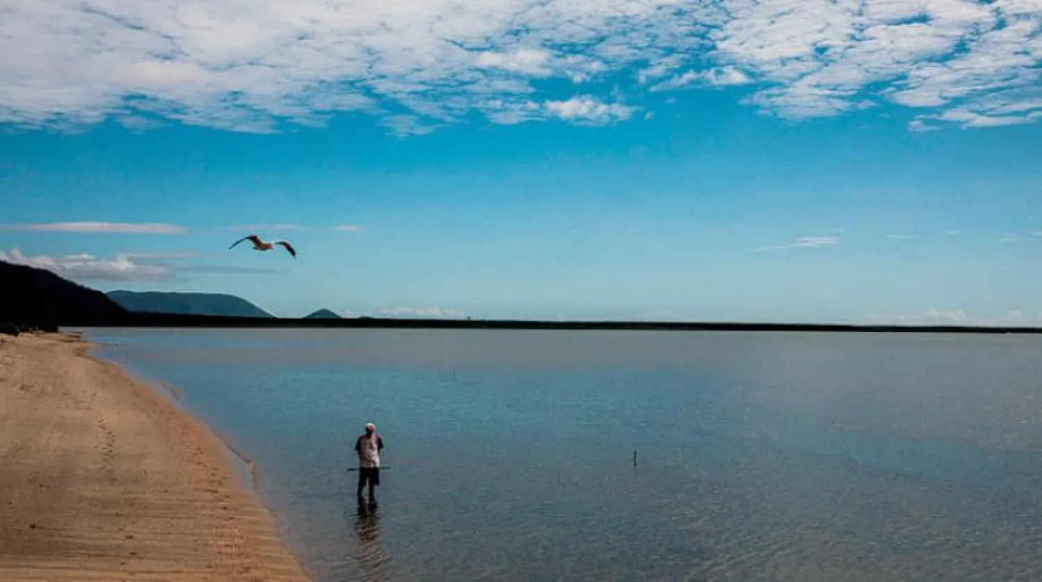 'A Bit Surreal’: The Lonely Plight of the Great Barrier Reef