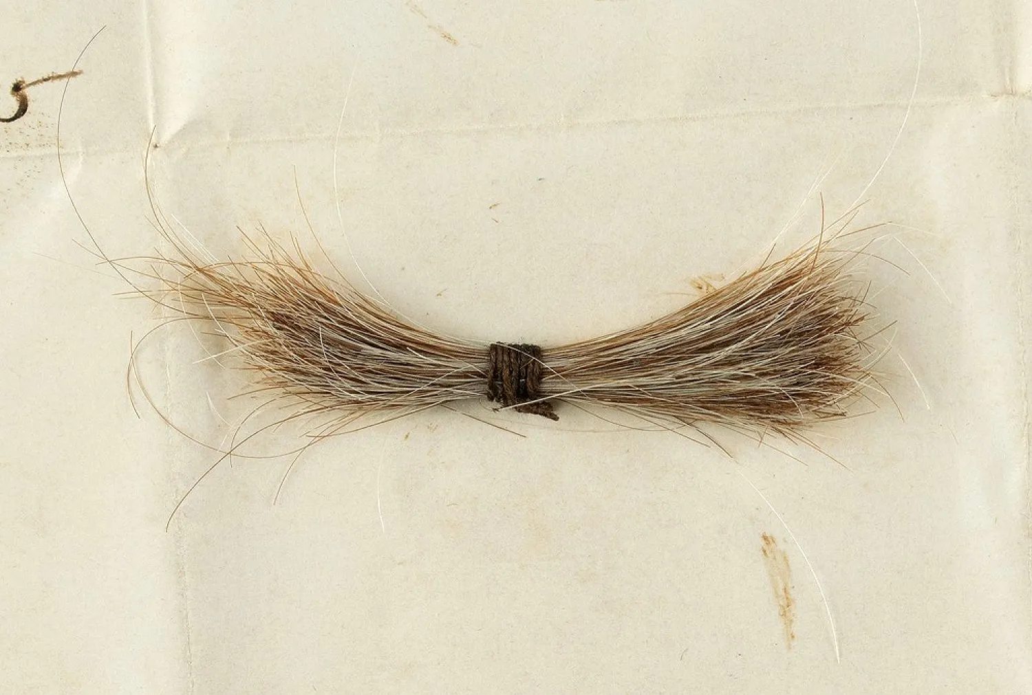 A lock of Abraham Lincoln's hair, wrapped in a bloodstained telegram about his 1865 assassination, is up for sale. (AP)